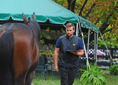 20 nya köp i Lexington