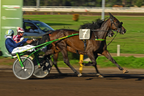 Oaksvinst från dödens