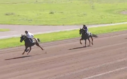 Ny seger för Partanen