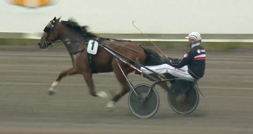 ”Lägger inget krut i onödan”