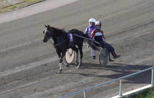 Svenska vann Baby Race