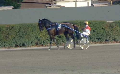 Sjunde raka för Aladin