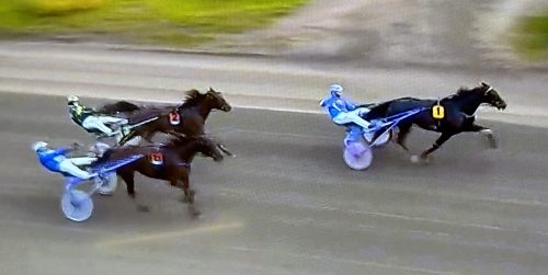 Scarlet Knight-son i topp