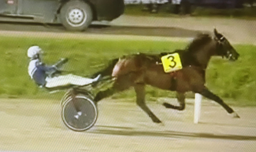 Ny storseger för Djuse