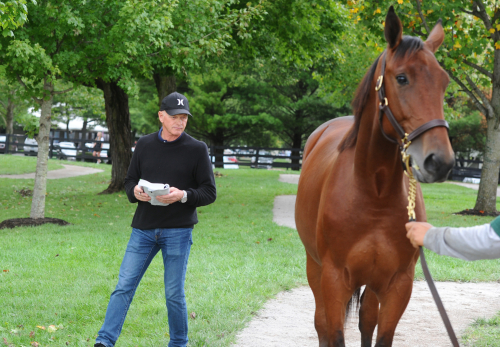 Elva ettåringar till Svanstedt