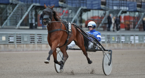 V75: ”Ledningen måste vara plan A”