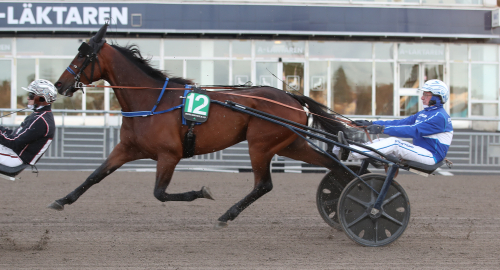 Kvalsuccé för Antognoni