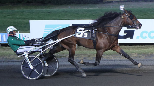 Dubbel för Svanstedt