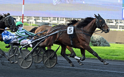 Vann utan att övertyga