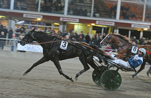 V75: ”Steppar upp lite för varje lopp”