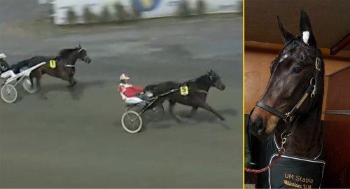Lennartsons löfte vann igen: ”Otroligt skoj”