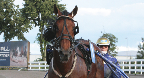 Noble Express har börjat klättringen