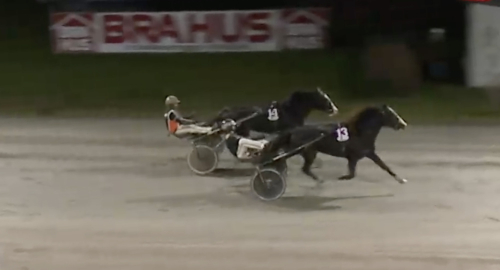 Tuffa Amira slog hingstarna igen