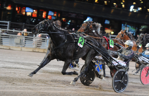 Julrepris för Phoenix Photo?