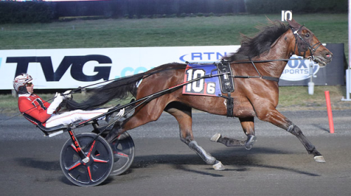 Blågul dubbel på Meadowlands