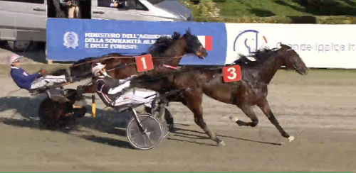 Italienskt Derbyvinnare i topp