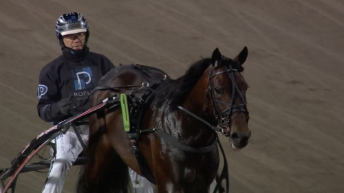 Uppvisning av Connors