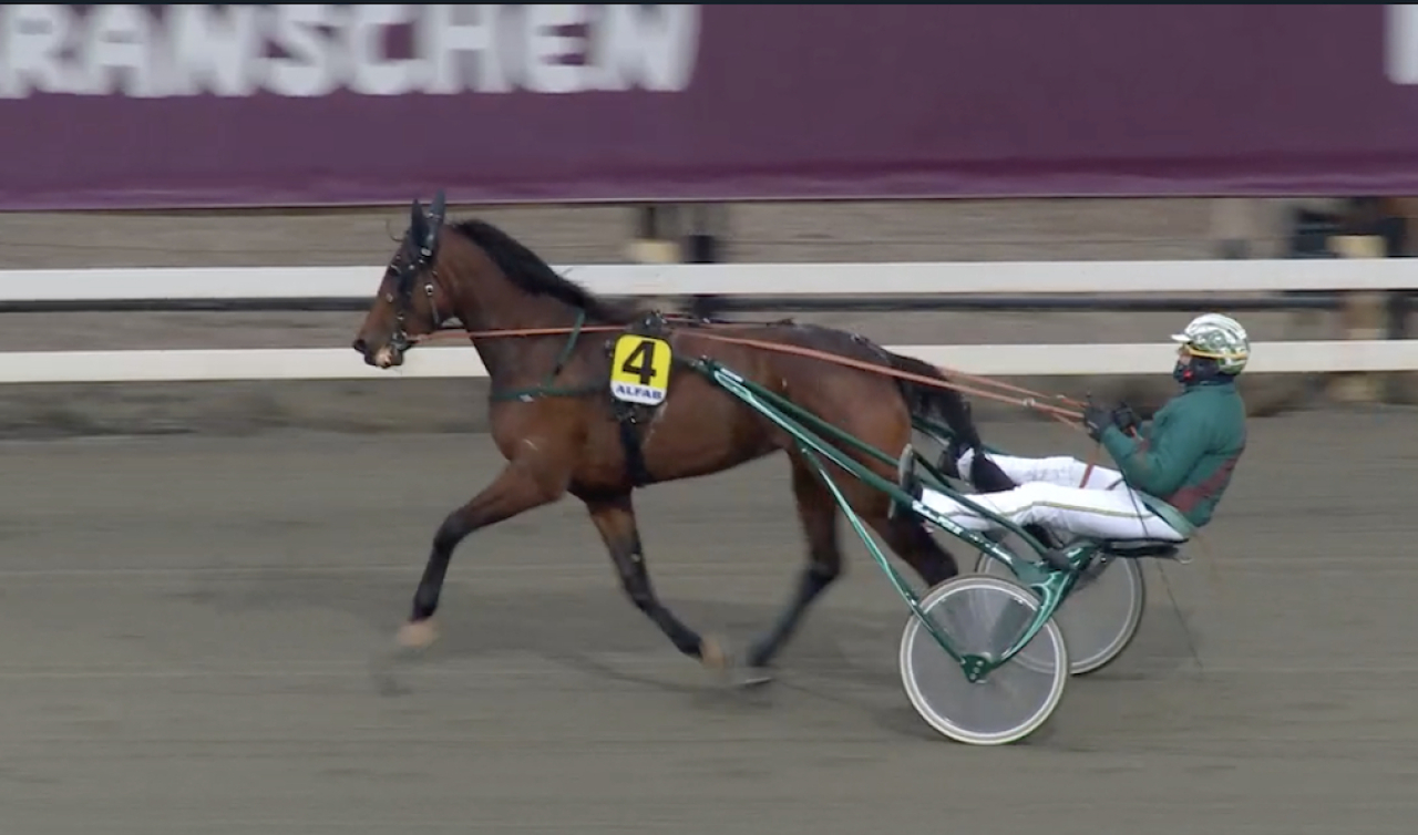 Conrad Lugauer och Woodside Harmony.