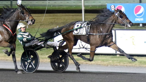 Dubbelseger för Takter