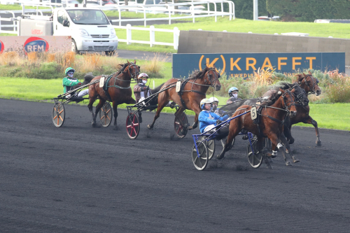Italienare knäckte svenskar