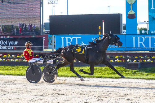 Segermaskin mot Elitloppet?