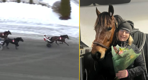 Konjaks Ursa tillbaka som en vinnare ”Känns skönt”