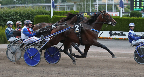 Uppfödningsvinnare till Souloy