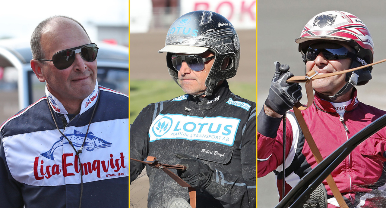 Reijo Liljendahl, Robert Bergh och Lutfi Kolgjini tillhörde de som fick rubriker under 2024. Foto Mathias Hedlund & Mia Törnberg/Sulkysport