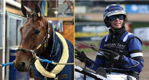 Lookin at Lucky värmde i kylan ”En fin häst”