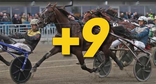 Djusematch på olika arenor