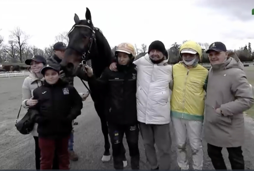 Vivid Wise As snygga sorti