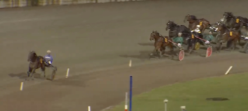 ”Knock-out och stenkross”