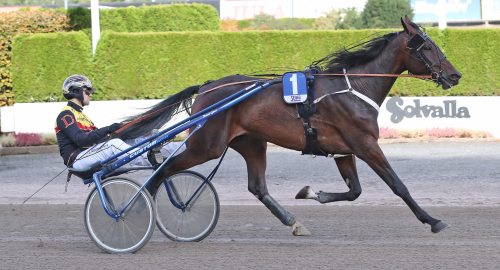 V75: Solkattens Star jagar tredje raka