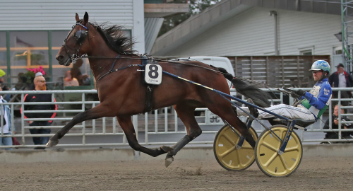 ”En femstjärnig prestation”