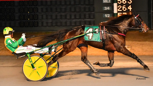 Ny finaletta för E L Platinum