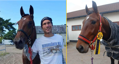 En Berghsäker vinnare från Gotland? ”Min drömhäst”