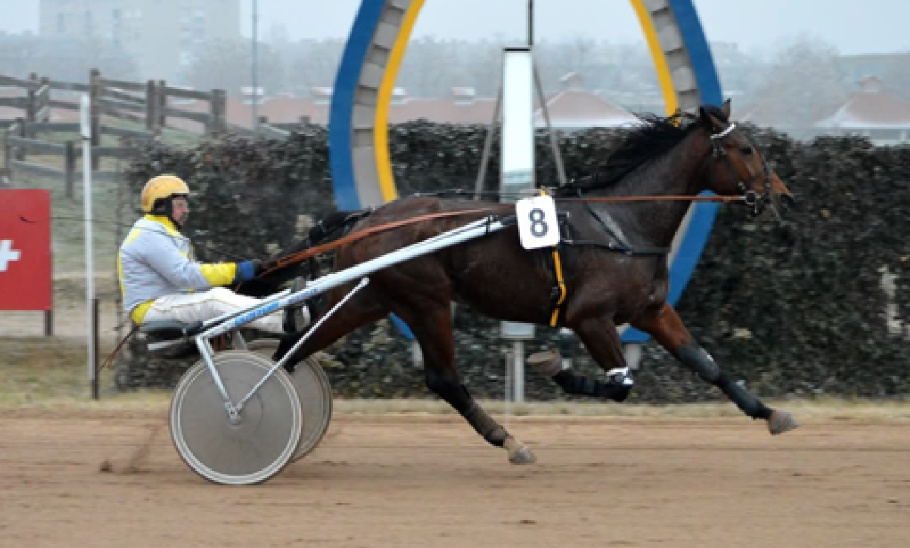 Face To Face vid en tidigare vinst. Foto Kincsem Park