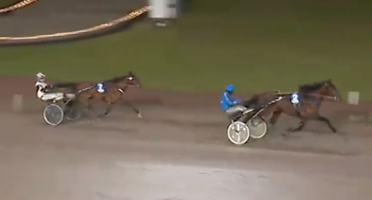 Markus Waldmüller tränar fyraårige Fetisov som tillsammans med Stefan Persson tog andra segern på lika många starter på Jägersro igår. Skärmbild ATG Live