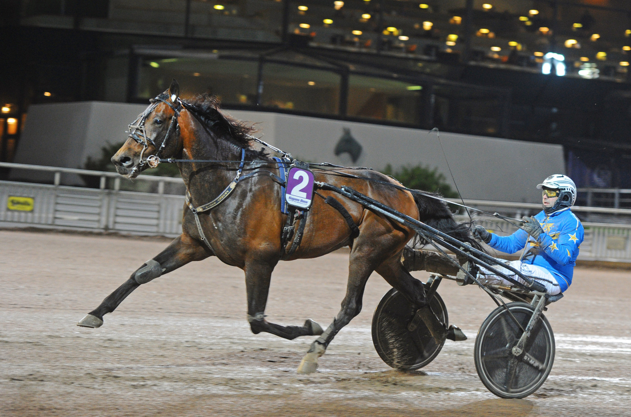 Franky Bahia var en av elva vinnare från Maharajah förra veckan. Foto: Adam Ström/stalltz.se