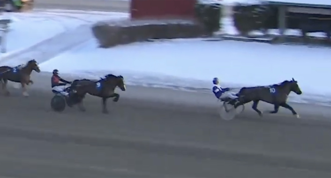 Anders Klaar-tränade Ragnar och Claes Eskilsson inledde 2025 på bästa sätt med seger. Skärmbild Gävletravet