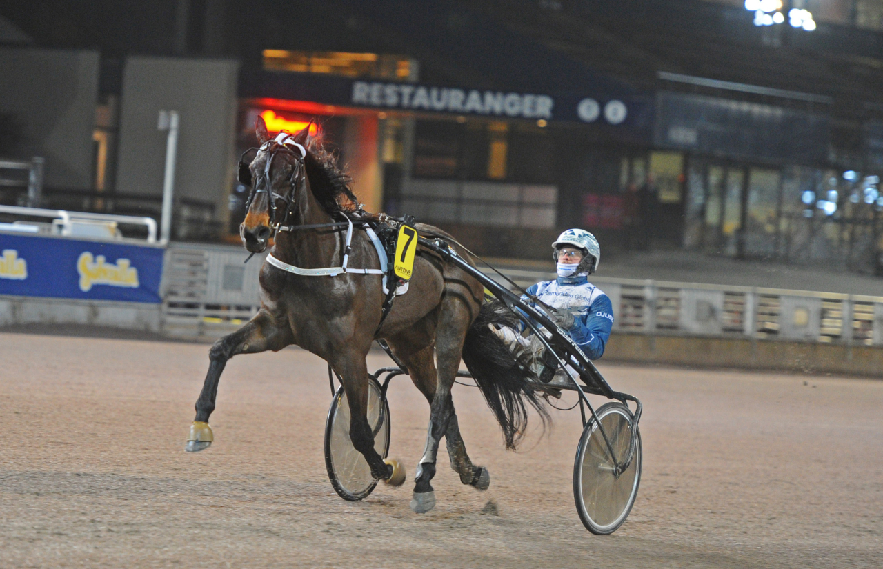 Selmina Venit vid sin första seger i karriären för Magnus A Djuse på Solvalla förra veckan. Foto: Adam Ström/stalltz.se