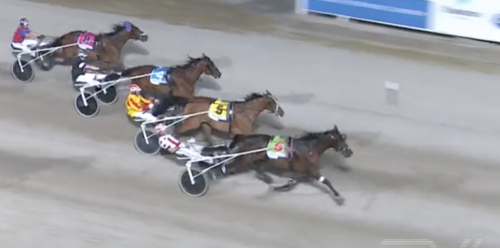 Andra raka i Maori Mile