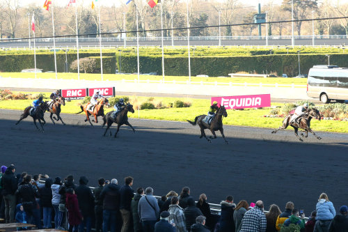 Svenskfött under sadel?