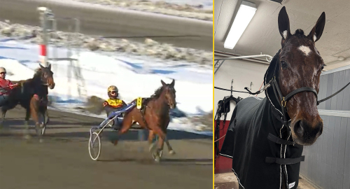 Täta starter bekymrade inte