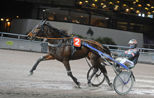 Hayden Hanover dubblade
