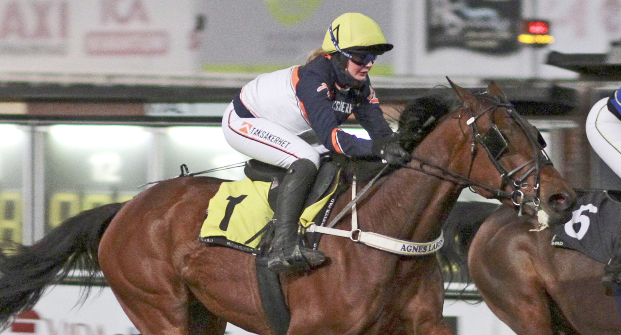 Svante Eriksson-tränade Eyesight och Agnes Larsson kommer till start i montéloppet på V86 med fyra vinster på de fem senaste starterna – men än konkurrent är snäppet bättre. Foto Gunilla König/Stalltz.se