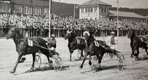 Hästen som vann lopp 14 år i rad
