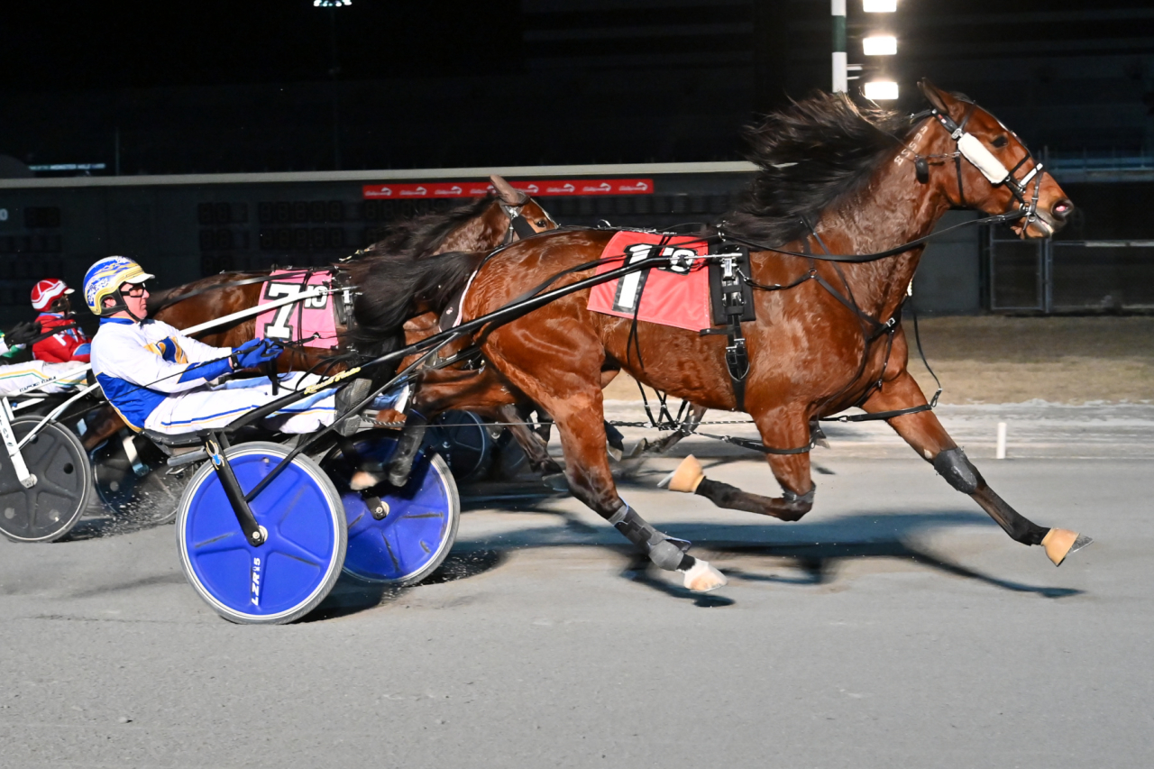 Inaminute Hanover vinner sitt andra lopp för året för Russell Foster. Foto: Quenton Egan Photo