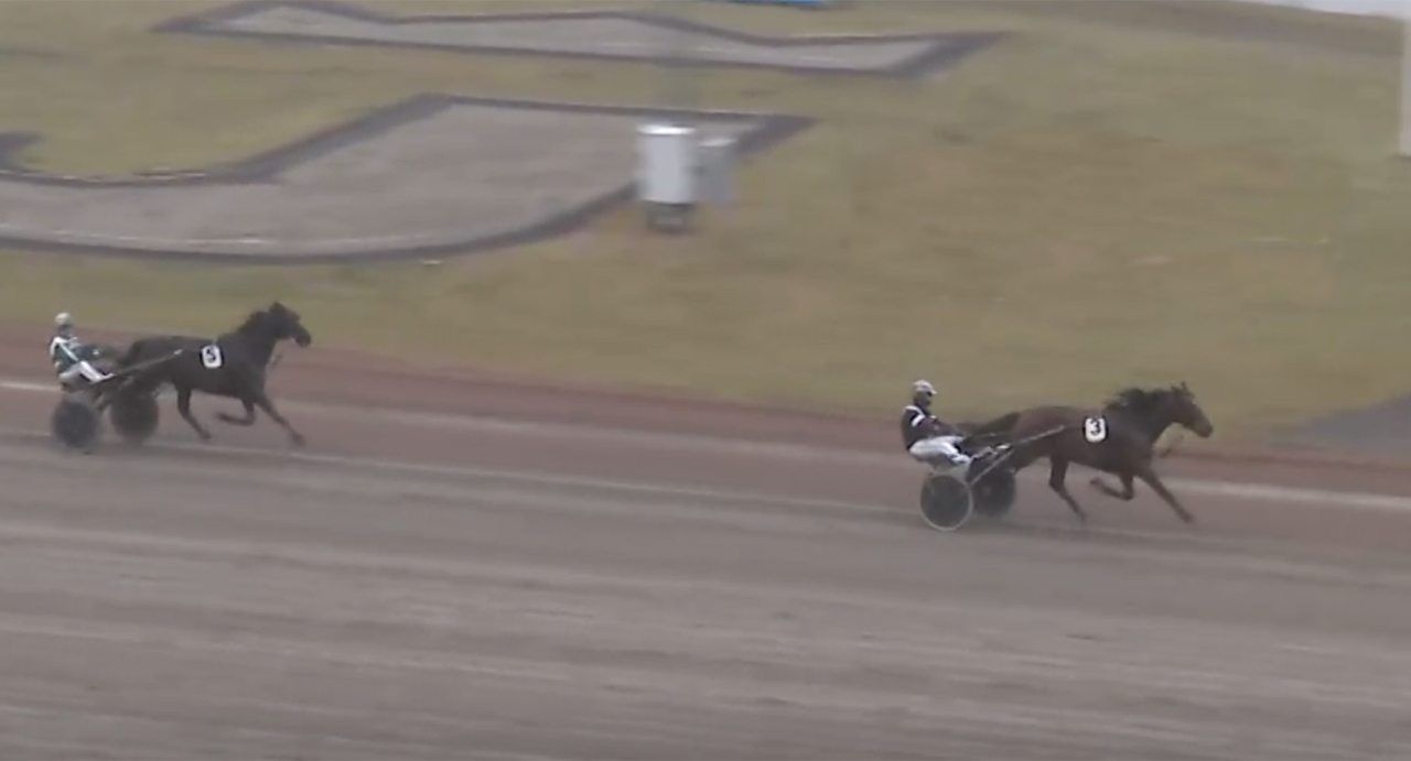 Sjunde gången gillt blev det för Adrian Kolgjinis fartfyllde fyraåring Poker Face på Jägersro igår. Skärmbild ATG Live