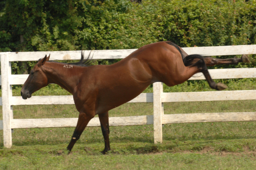 ”En stadig spark i baken fick!”